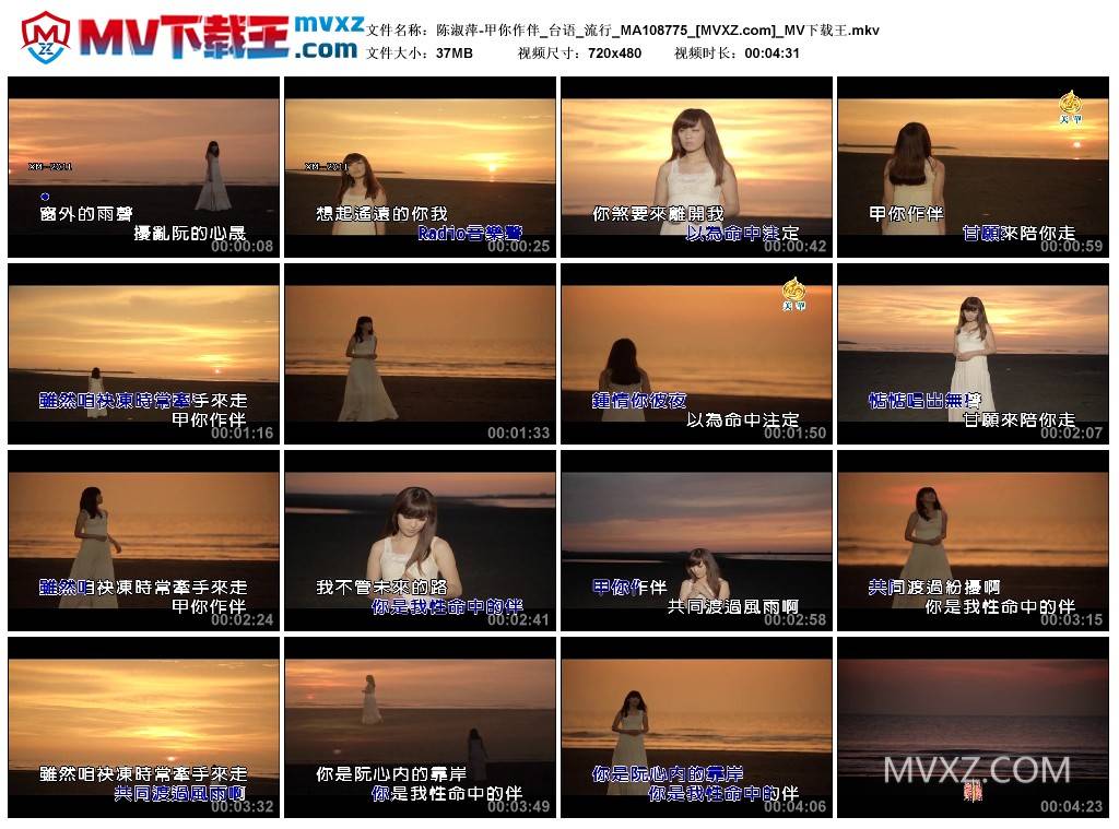 陈淑萍-甲你作伴_台语_流行_MA108775